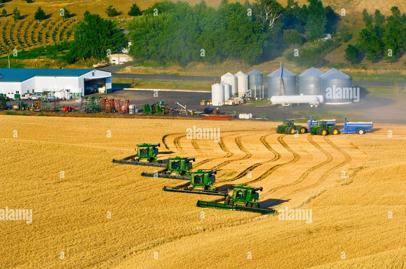 Jaka jest wydajność kombajna / bizona?